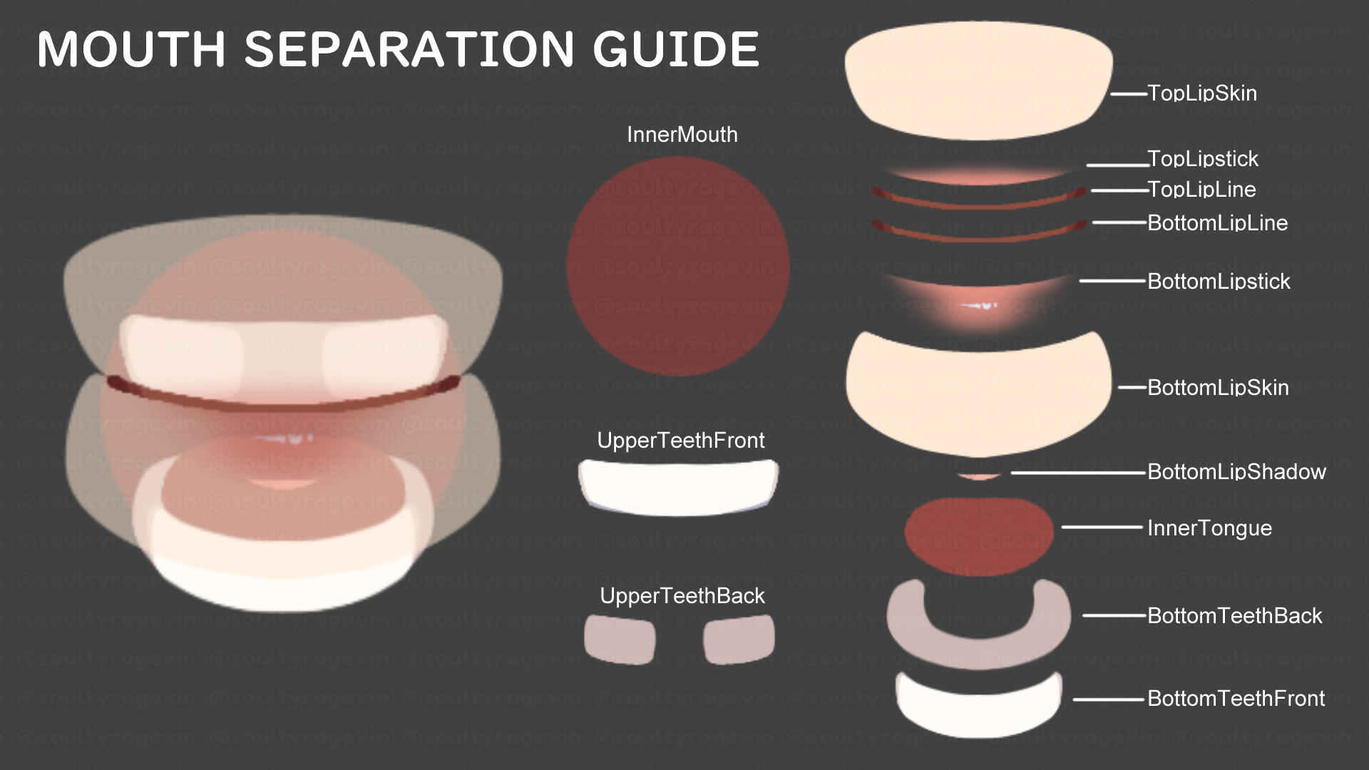MOUTH SEPARATION GUIDE